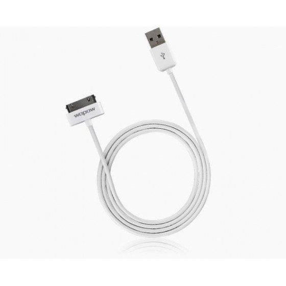 Cavo per iPhone 4/4S ed iPad Carica e Dati 1 Metro