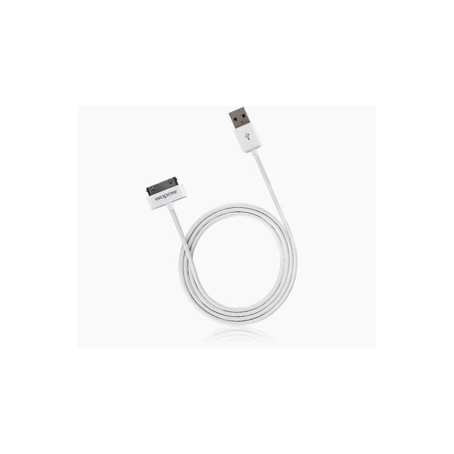 Cavo per iPhone 4/4S ed iPad Carica e Dati 1 Metro