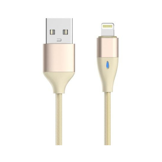Blitz Cavo Usb con LED per Apple iOS8 & 9 &10 Champagne Gold
