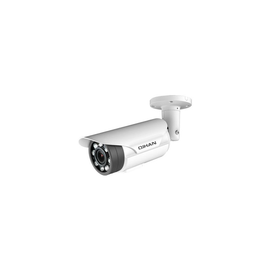 IP 4.0 Megapixel, PoE, 2.8~12mm,8 Array Led, IP66