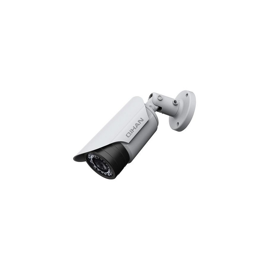 IP 4.0 Megapixel, PoE, 3.6mm,8 Array Led, IP66