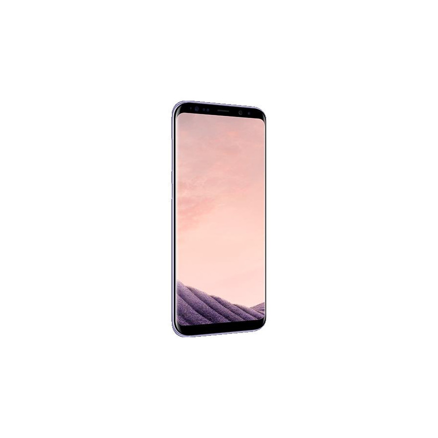 LCD Originale Samsung G955 Galaxy S8 PLUS Violet GH97-20470C